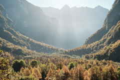 Val Bavona im Herbst